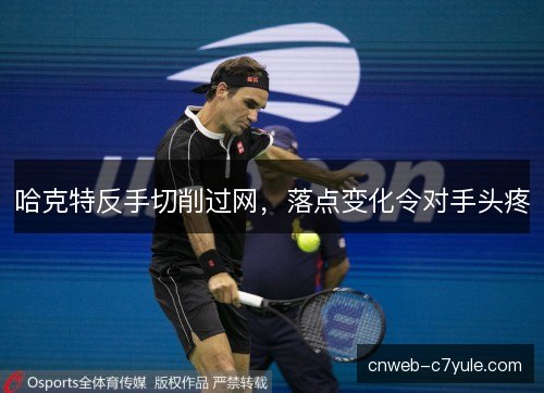 哈克特反手切削过网，落点变化令对手头疼